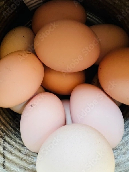 Fototapeta Free range eggs 