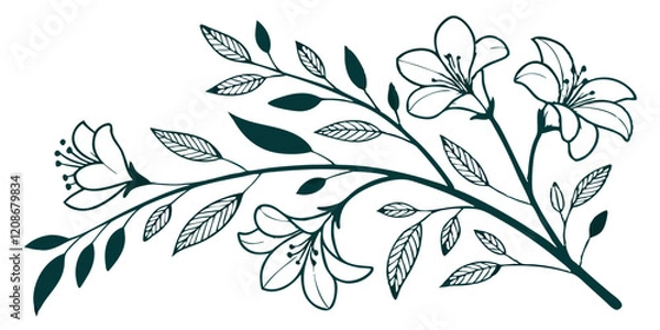 Fototapeta Boho geometric botanical elements: wavy branches, flowers, and leaves for logos, social media, packaging, or cards. Vector transparent background