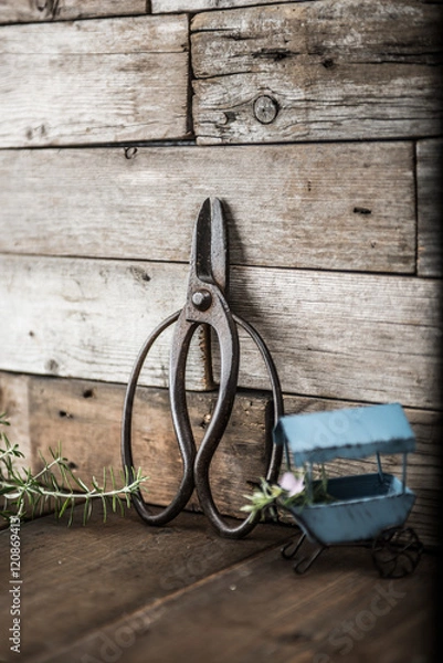 Fototapeta ガーデニング