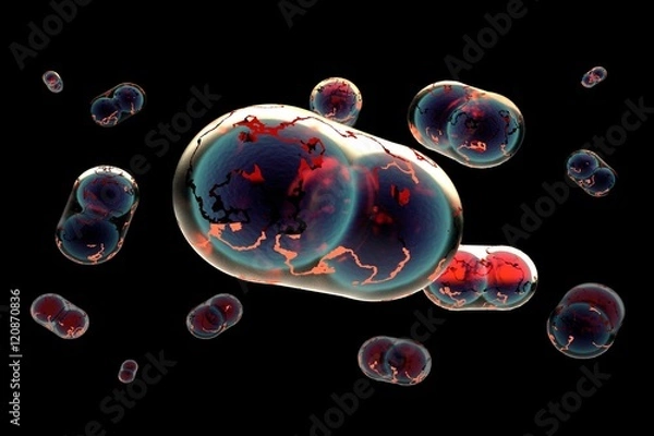 Obraz Smallpox disease variola virus 3D illustration