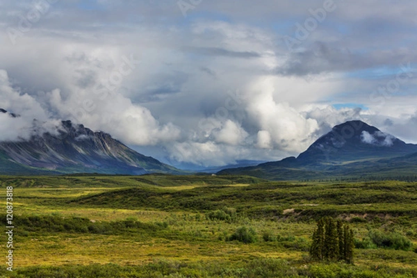 Fototapeta Denali highway