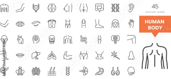 Fototapeta Collection of outline icons depicting various human body parts and systems.