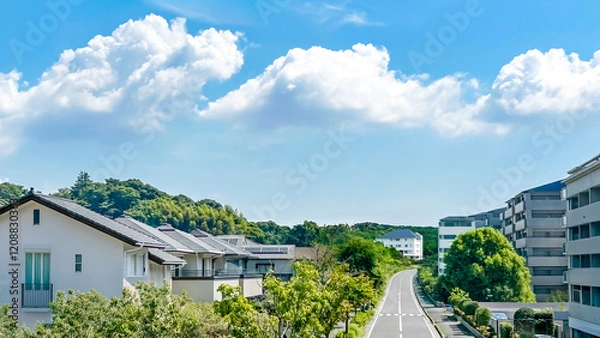 Obraz 戸建て住宅とマンションが並ぶ緑の多い街