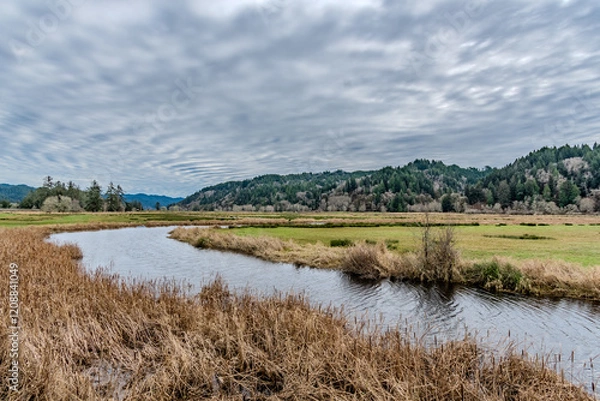 Fototapeta Scenic river winding through tall grass and wetlands in Oregon with clouds overhead