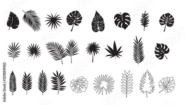 Fototapeta Collection of tropical, botanical leaf , shapes elements silhouette design 