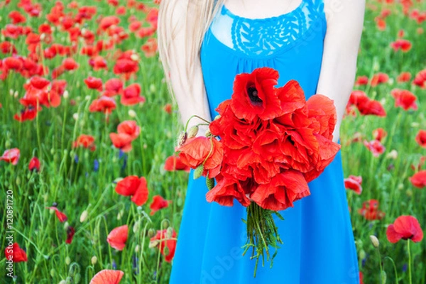 Obraz woman holding a bouquet of field poppy