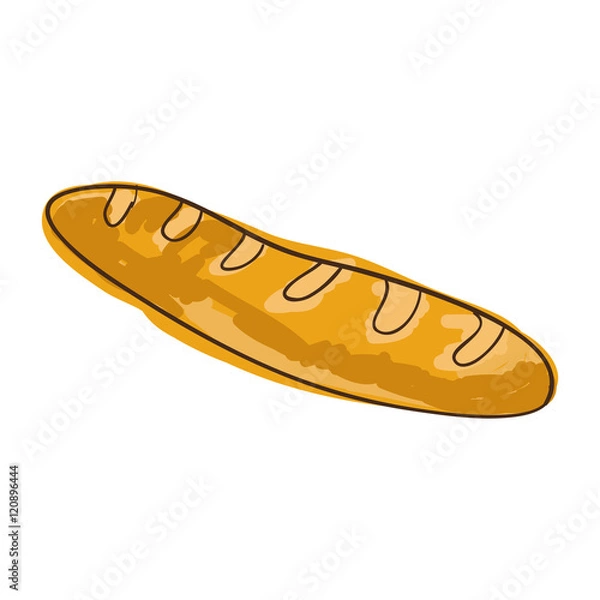 Fototapeta french baguette bread bakery food product. drawn design. vector illustration