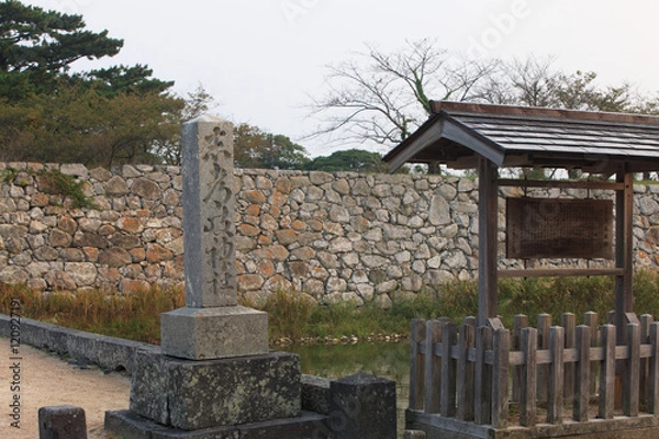 Fototapeta 萩城跡 