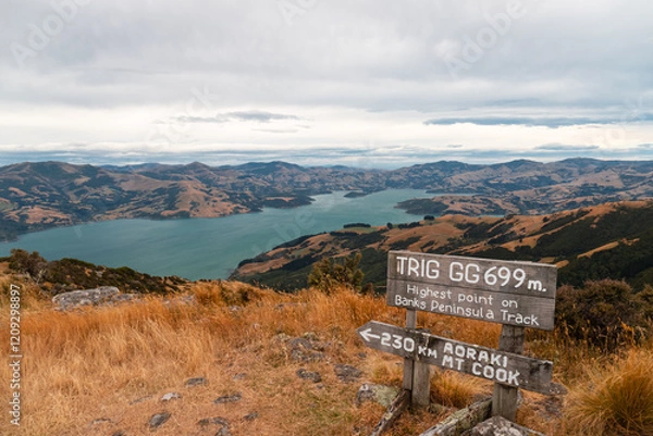 Obraz Views from Misty Peaks Reserve on the Banks Track on Banks Peninsula during a multi-day hike in early summer (Akaroa, South Island, New Zealand)