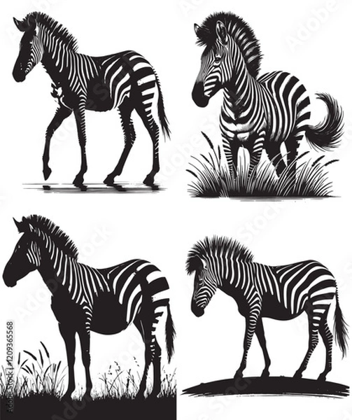 Obraz zabra, zabra silhouette, set of zabra silhouette