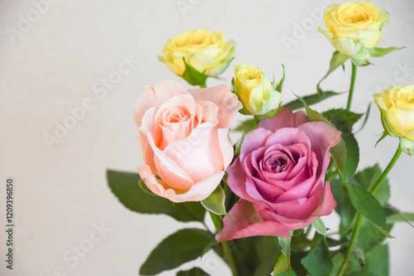 Fototapeta カラフルなばら