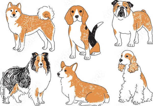 Fototapeta 人気の中型犬の手描きイラストセット