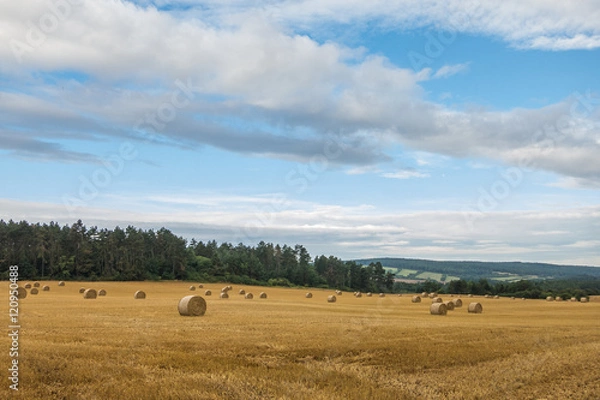 Fototapeta Landschaft im Spätsommer