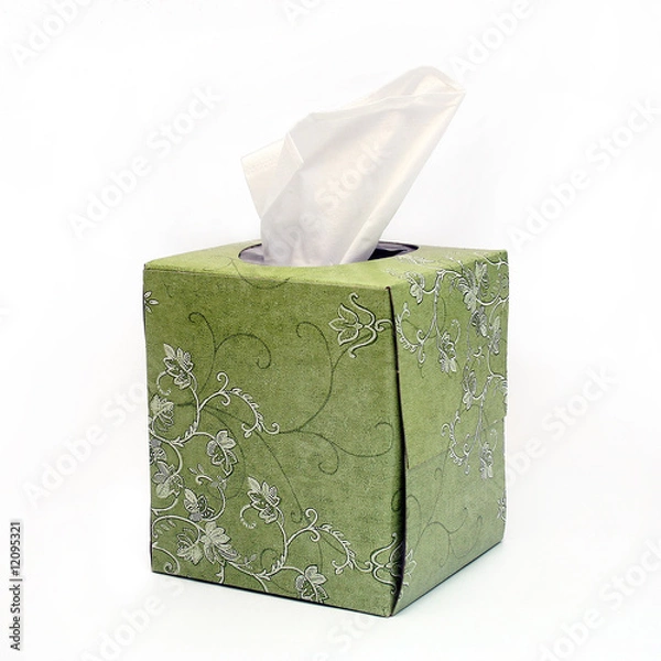 Obraz Isolated Green Tissue Box