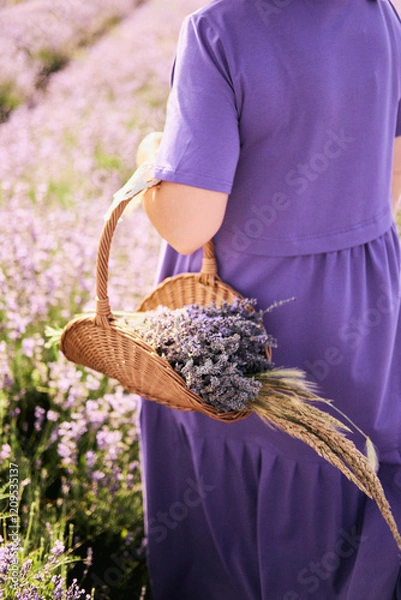 Obraz Picnic in lavender field at sunny day. Vacation and travel concept. Blanket, fruits, cheese and bread for picnic
