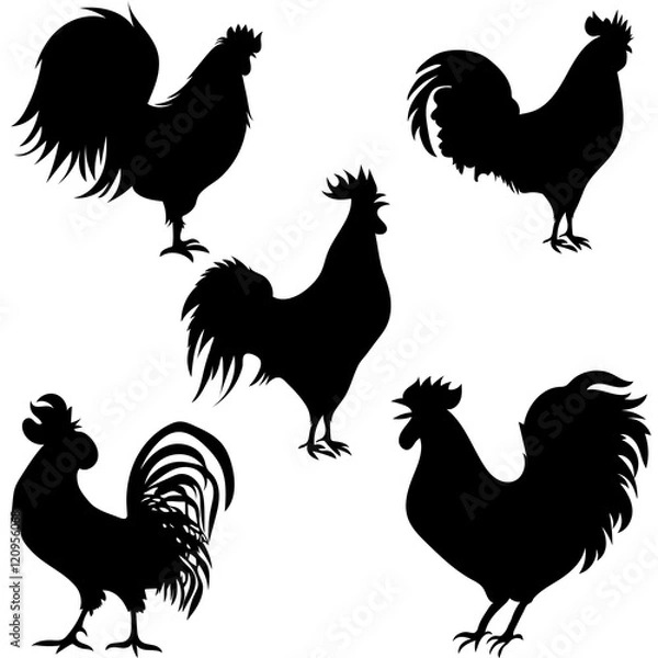 Obraz rooster silhouettes on the white background