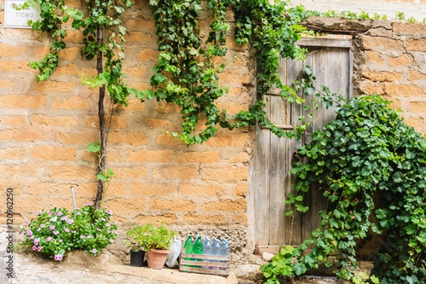 Fototapeta The door to the old wall