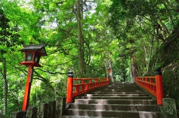 Fototapeta 京都　鞍馬寺