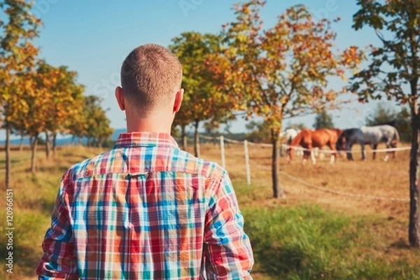 Obraz Summer time in nature