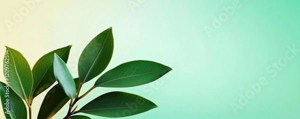 Fototapeta Pastel spring idea. A close-up view of vibrant green leaves against a soft gradient background.