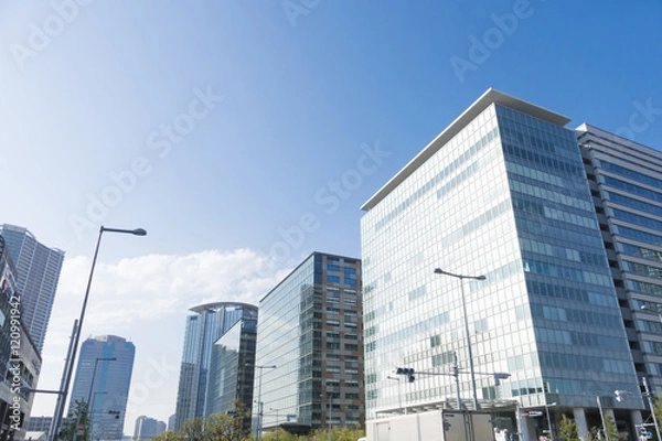 Fototapeta 東京都市風景　豊洲　再開発地区　臨海副都心　快晴　青空　高層ビル　メイン通り　並木