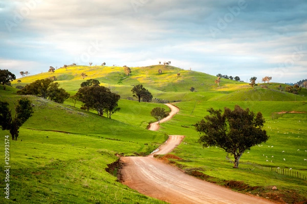 Obraz Australian countryside