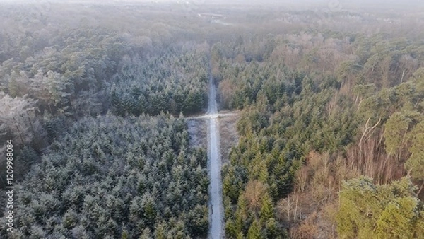 Obraz Wald im Winter