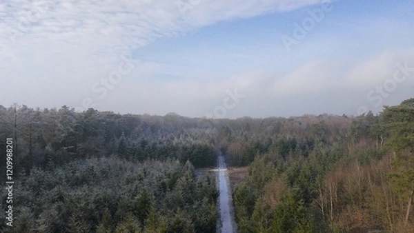 Obraz Wald im Winter