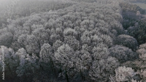 Obraz Wald Winter Vogelperspektive