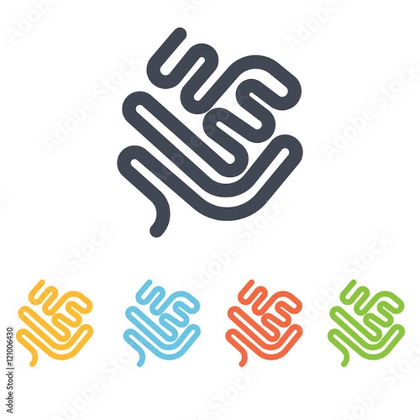 Obraz human organs icon