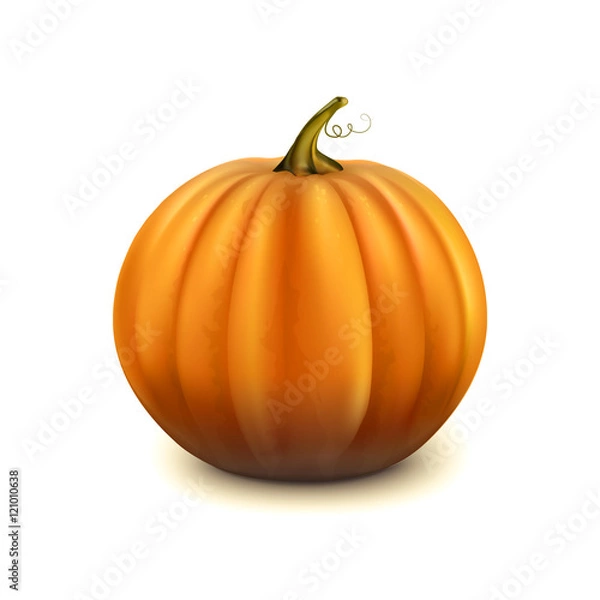 Obraz Pumpkin isolated on white background