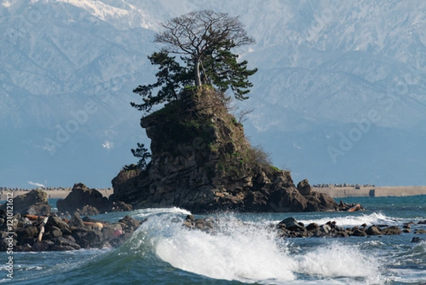Fototapeta 雨晴海岸・女岩と立山連峰