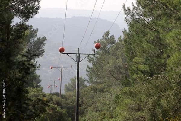 Fototapeta Electrical wires that carry high voltage current.