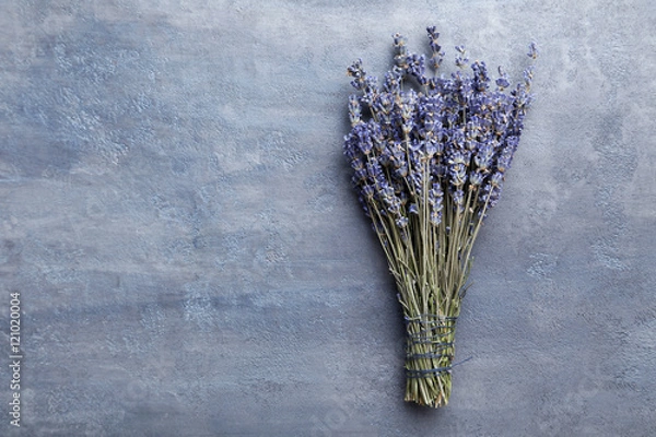 Fototapeta Bunch of lavender flowers on grey background