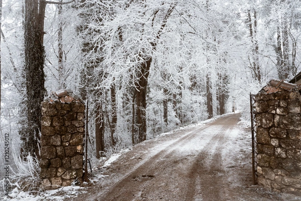 Obraz Snowy road and cold winter landscape - winter snow Fruška Gora Serbia