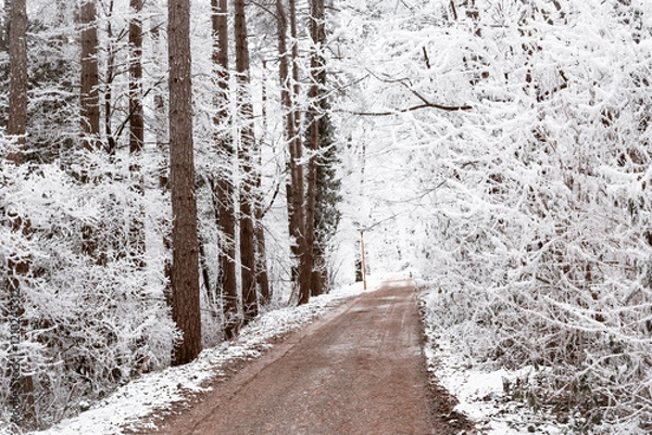 Obraz Snowy road and cold winter landscape - winter snow Fruška Gora Serbia