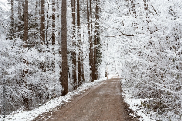 Obraz Snowy road and cold winter landscape - winter snow Fruška Gora Serbia