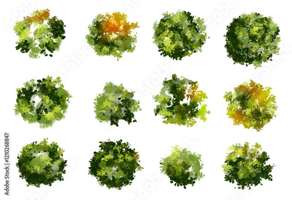 Fototapeta Vertor set of green tree,plants top view for landscape plan,schematic layout,eco environment concept design,watercolor greenery illustration