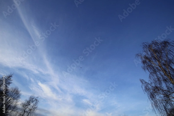 Obraz sky and clouds