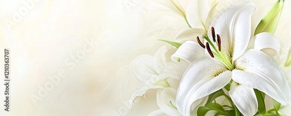 Fototapeta White lilies bouquet, soft background, sympathy card design