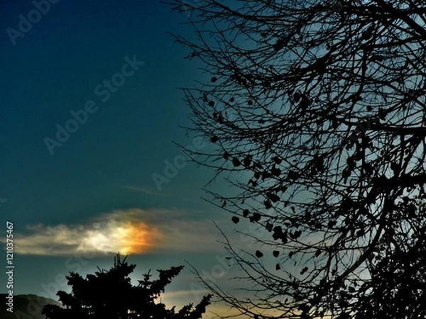 Obraz Colorful picturesque sky with Parhelion on Cirrostratus clouds and dark branches trees in autumn evening. Topics: optical phenomenon, air space, weather, meteorology, sun energy, natural environment
