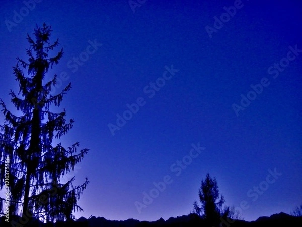 Fototapeta Abstract dark blue evening sky and dark horizon of mountain ranges in Tatras, Tatra Mountains in Poland and black branches trees. Topics: Tatra National Park, mountain tourism, natural environment