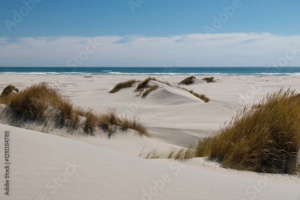 Obraz Sand dunes as seen on the beaches of Farewell Spit on a calm summer day (South Island, New Zealand)