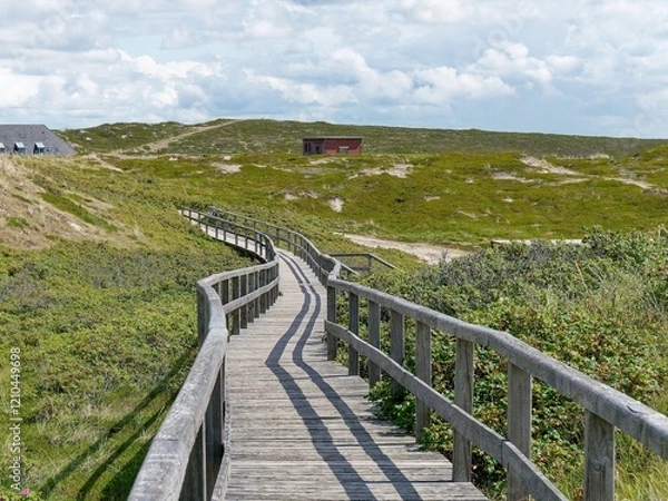 Fototapeta Wooden walkway through dunes, island Sylt, Germany