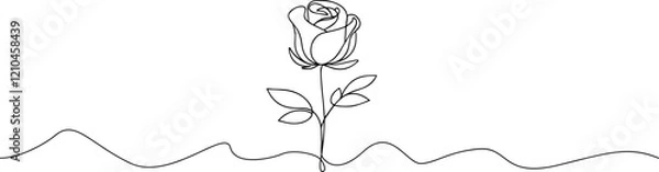Fototapeta Rose one line drawing. Abstract flower continuous line. Minimalist contour drawing of rose . Continuous line drawing of flower rose . Hand drawn sketch of flower with leaves.