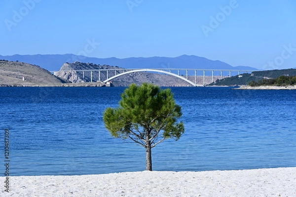 Obraz Bridge and a tree