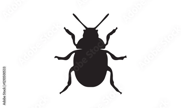 Fototapeta beetle isolated on white background