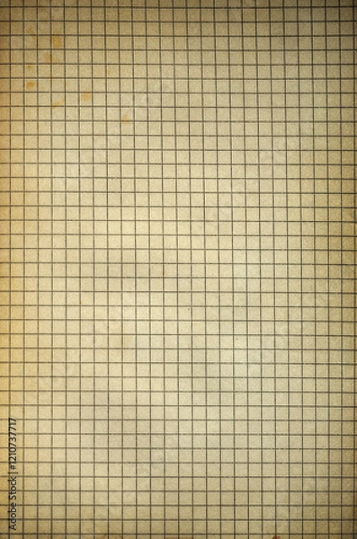 Fototapeta School notebook old grunge texture blank sheet.