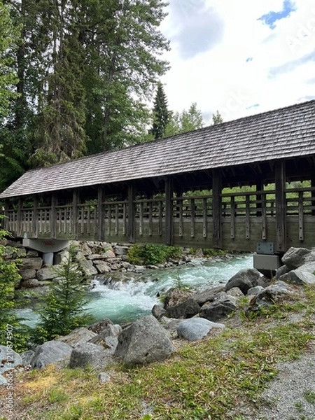 Obraz bridge over the river