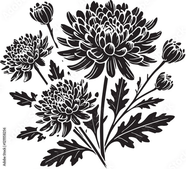 Fototapeta Black Color Chrysanthemums Silhouette Vector Illustration, Solid White Background. minimal vector design